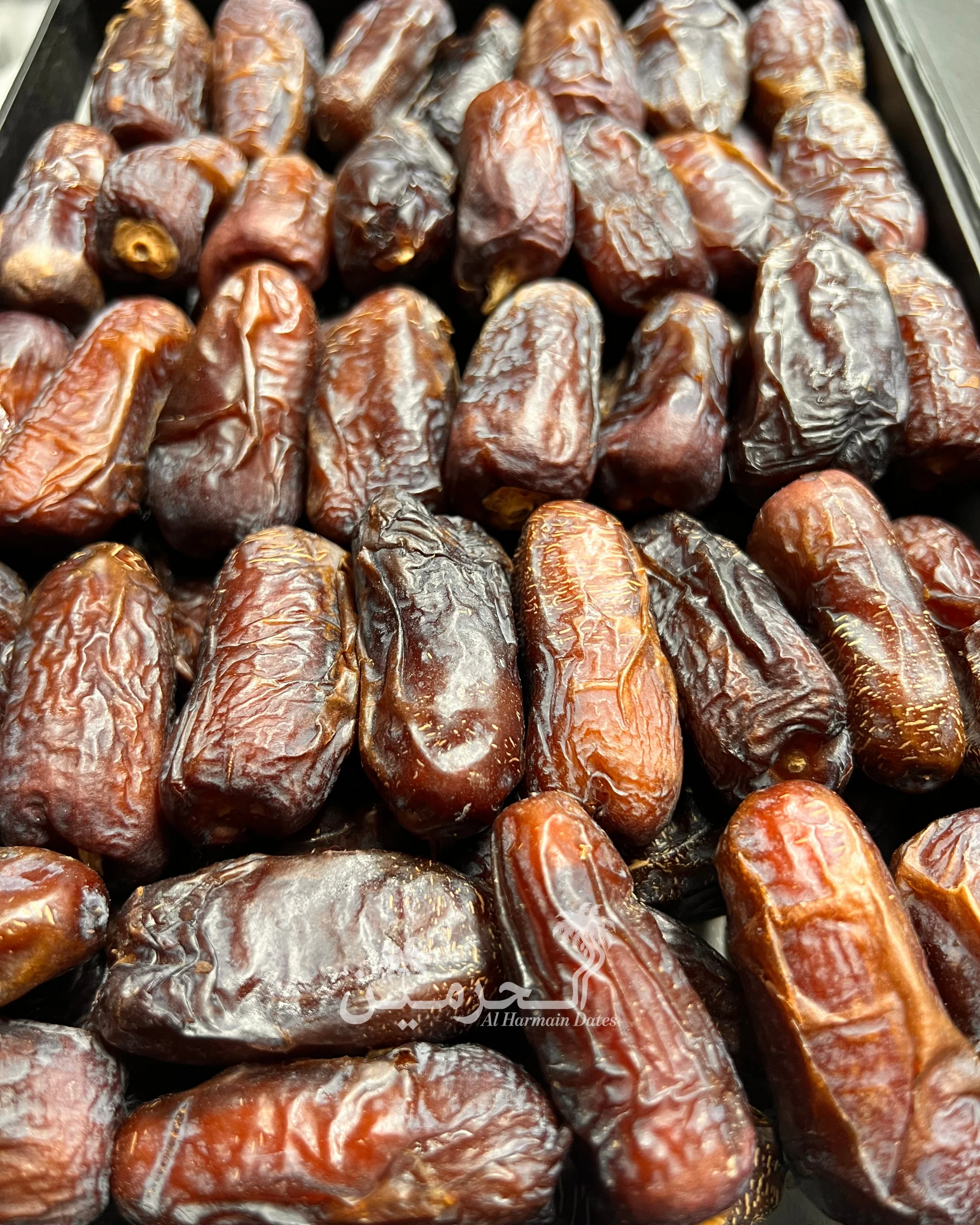 Amber Al-Madina Jumbo Khajoor – The Royal Big Date - Image 6