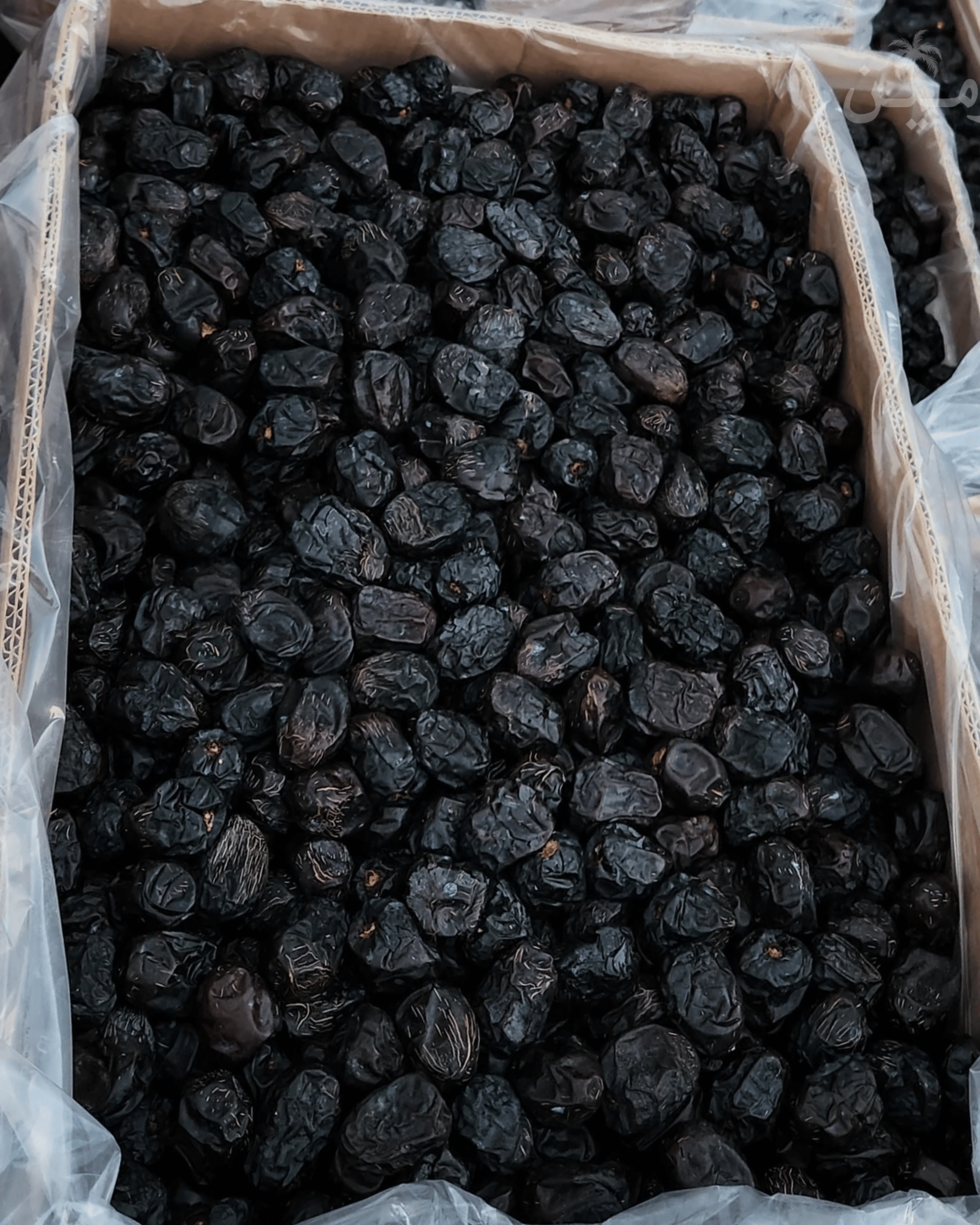 JUMBO Dana Ajwa Khajoor – Premium A++ Quality - Image 8